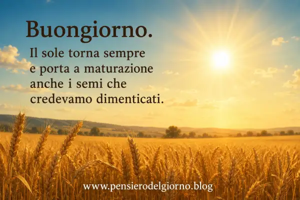 Frase del giorno