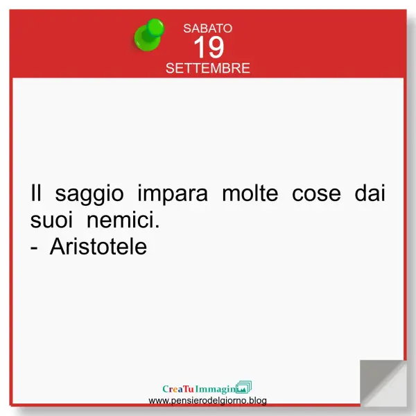 Frase del giorno