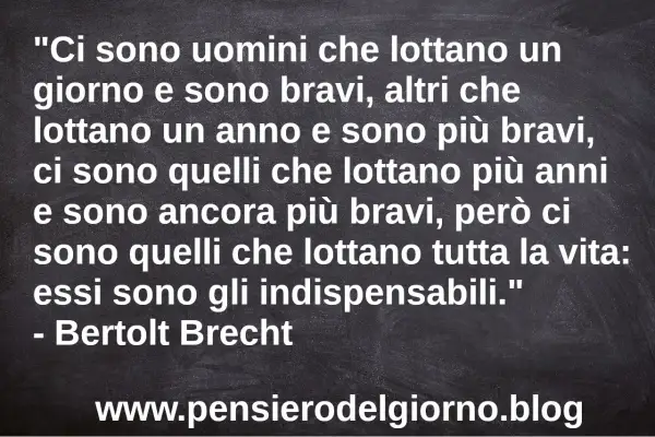 Frase del giorno