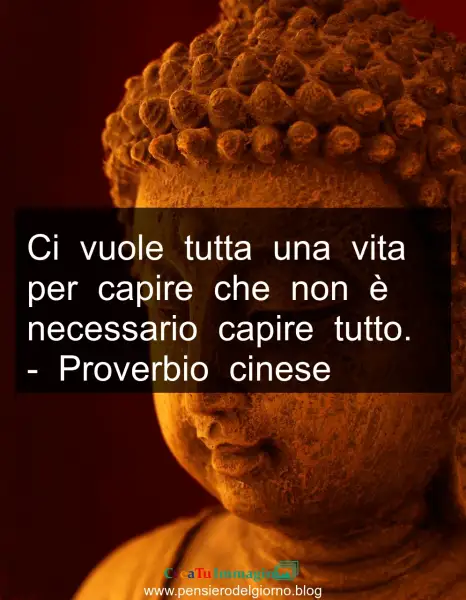 Frase del giorno