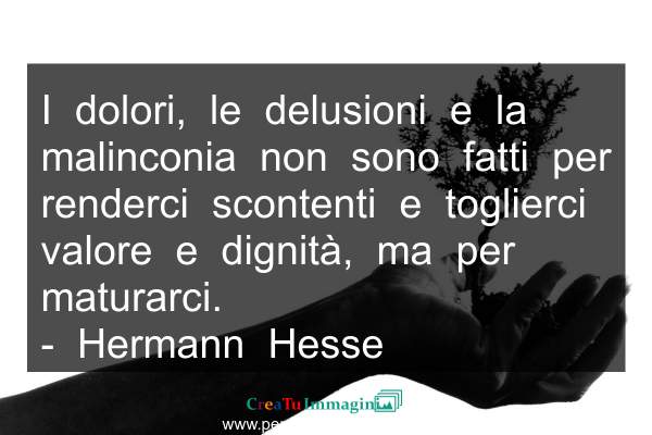 Frase del giorno