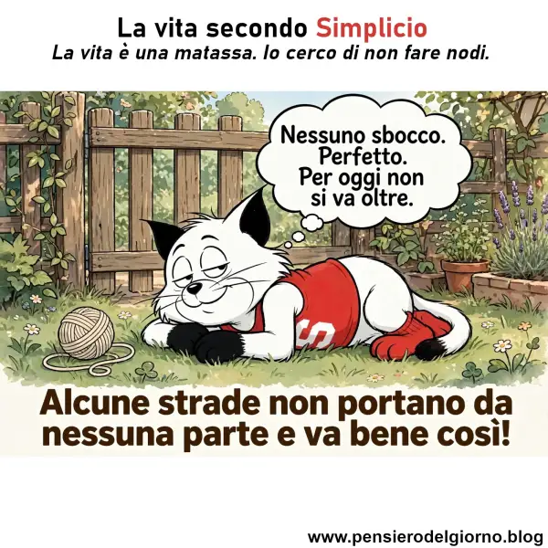 Frase del giorno