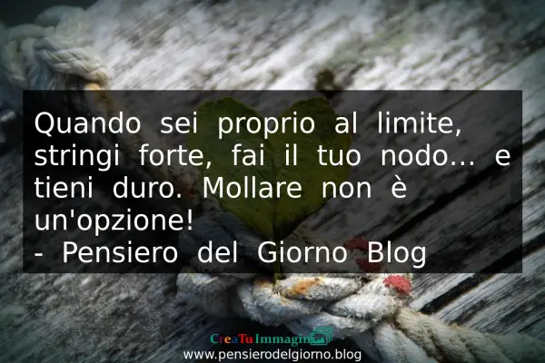 Frase del giorno