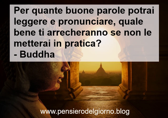 Buddha frase sul mettere in pratica insegnamenti