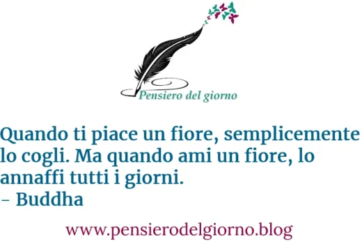 Frase vero amore Buddha