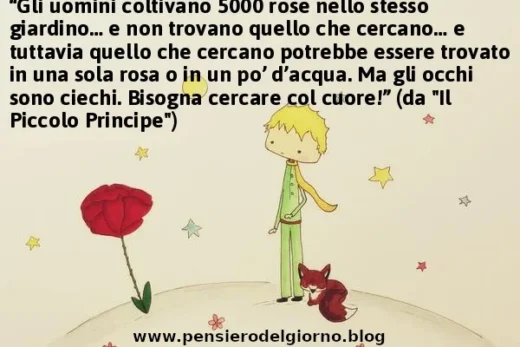 Il Piccolo Principe frase cercare col cuore