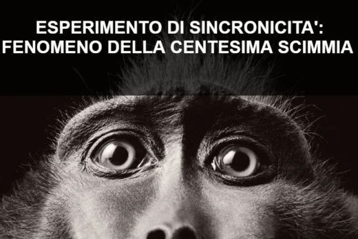 Esperimento sincronicità fenomeno centesima scimmia