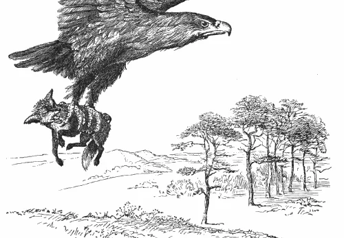 Favola La volpe e l'aquila