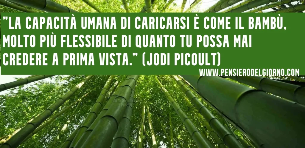 Frase resilienza natura umana bambu