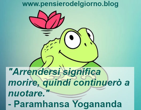 Favola rana nel secchio Yogananda