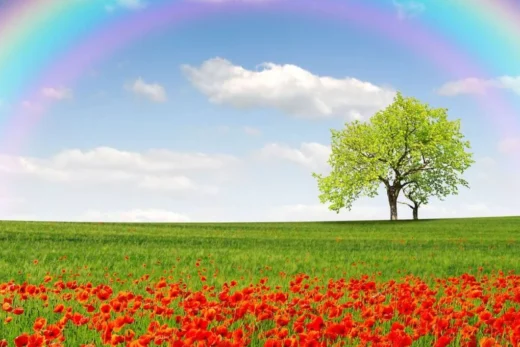 Arcobaleno immagini e frasi