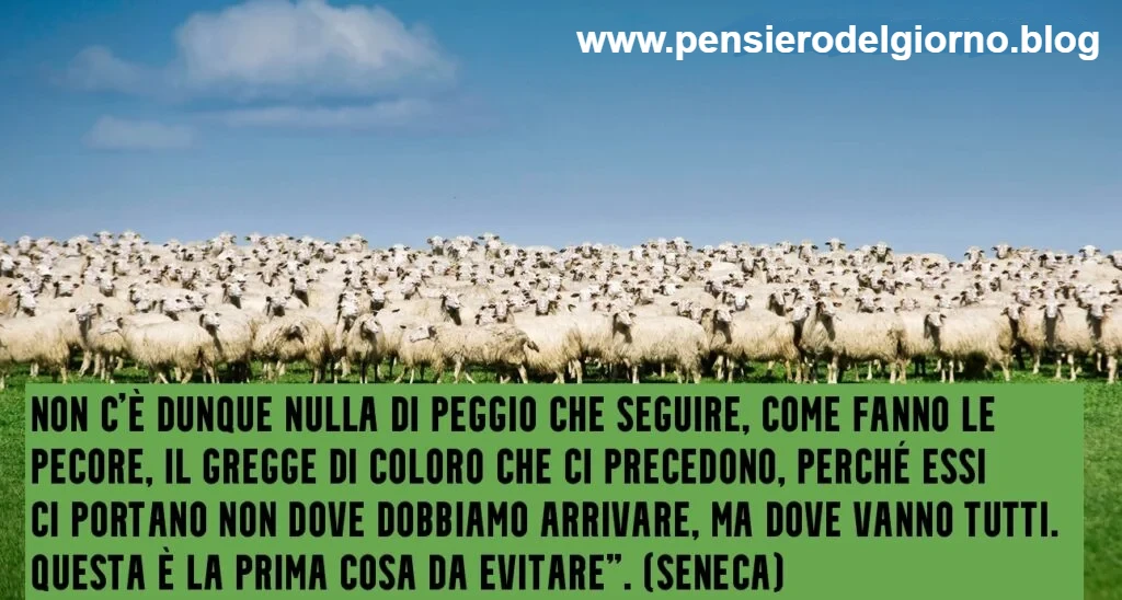 Frasi di Seneca sul non seguire il gregge