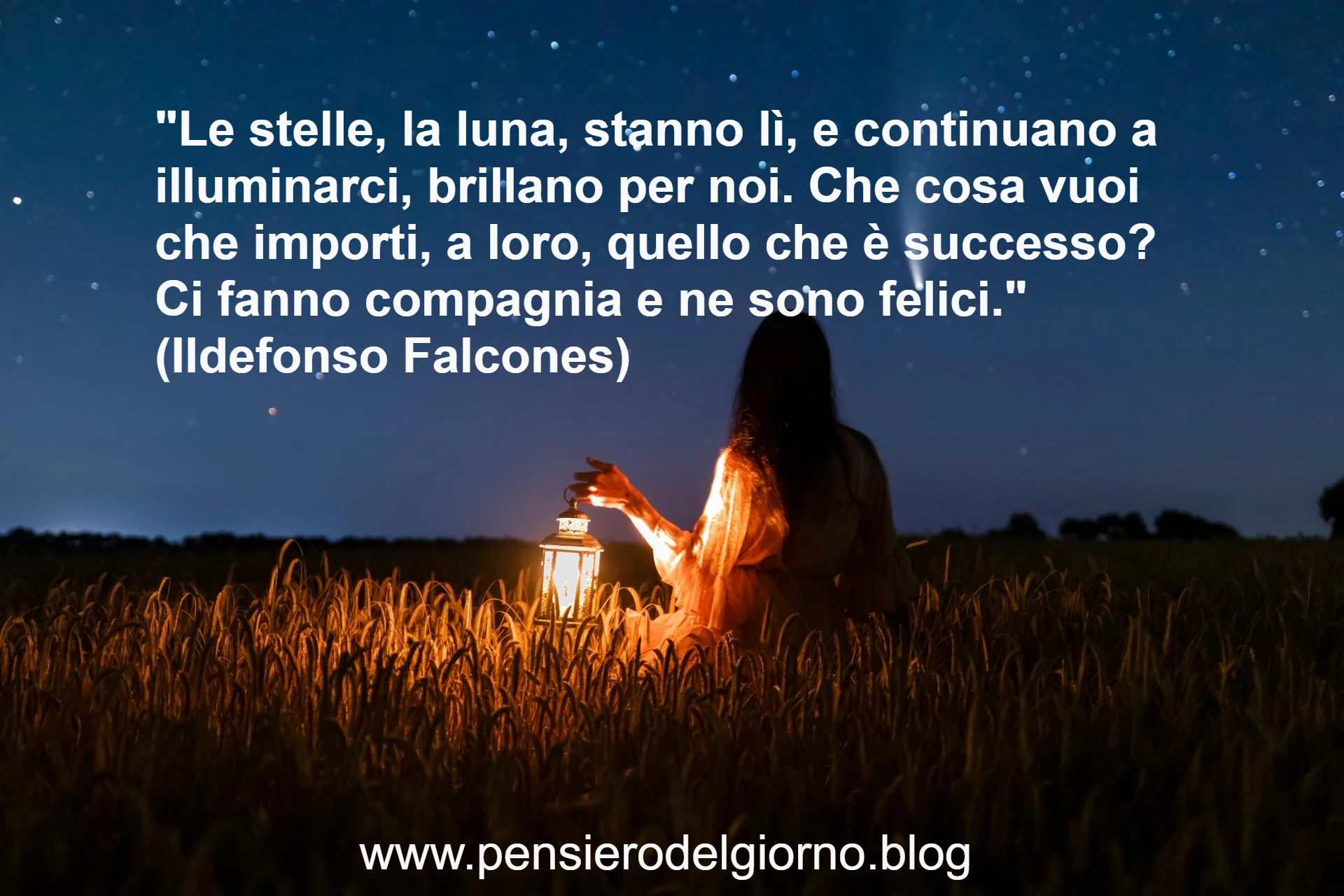 Frase sulle stelle che fanno compagnia Falcones