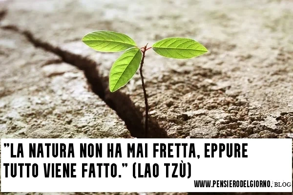 Frase di Lao Tzu sulla pazienza e la natura