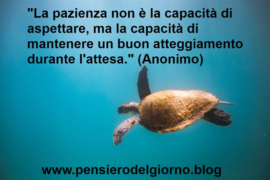 Frase sulla pazienza e l'attesa