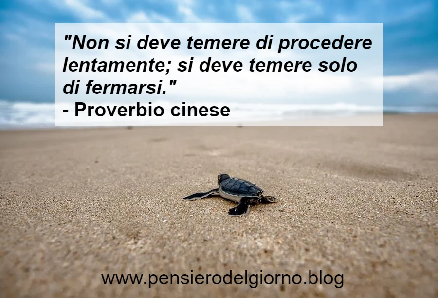 Proverbio cinese non temere di procedere lentamente