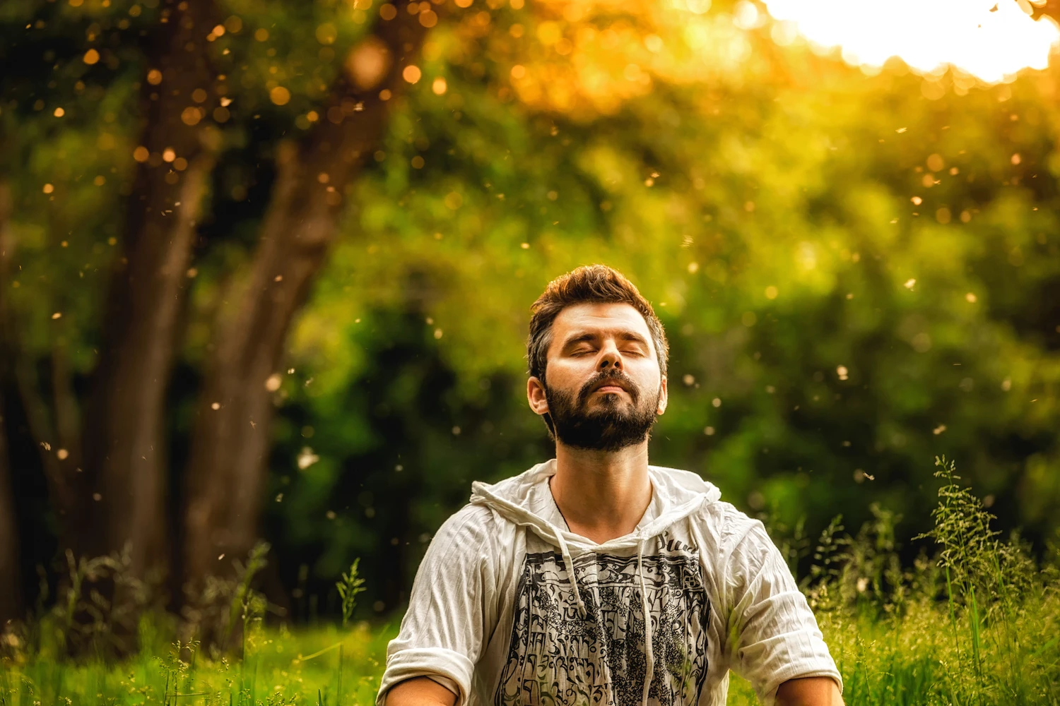 Meditazione sulla natura contemplazione