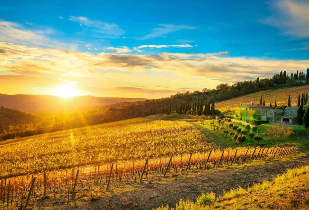 Autunno vigneti Chianti Radda Toscana Italia