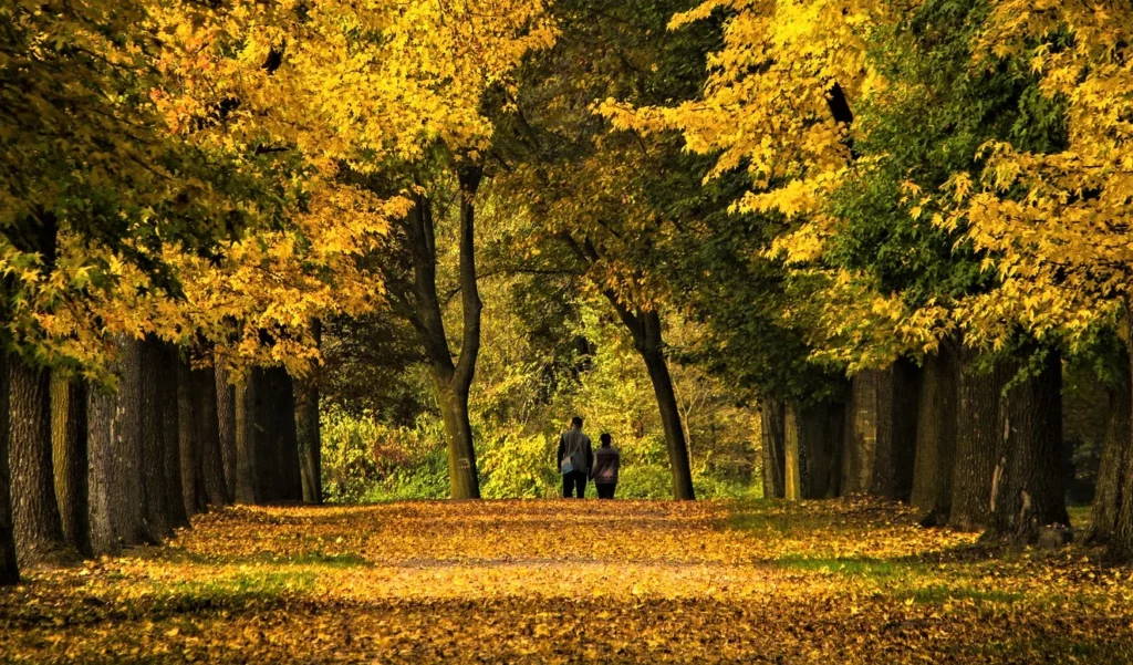 Autunno Gallura bosco Sardegna