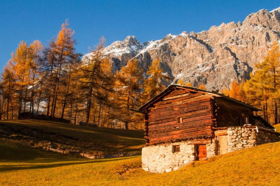 Valtellina autunno