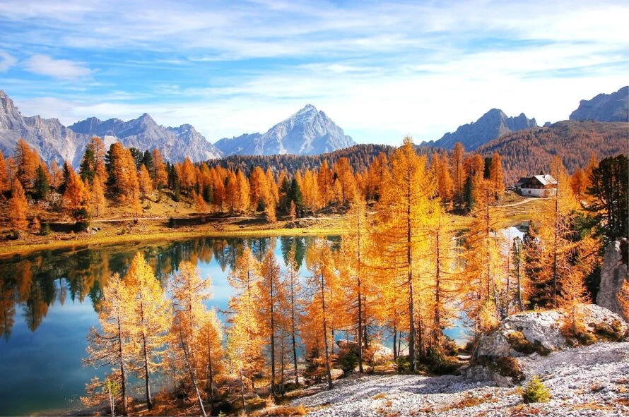 Autunno larici Alpi Italia