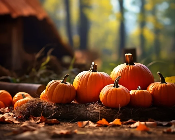 Immagine autunno ottobre zucche