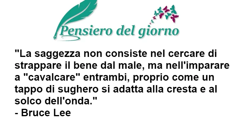 Aforisma La saggezza non consiste nel separare il bene dal male Bruce Lee