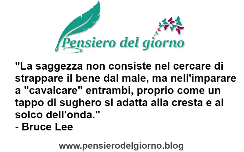 Aforisma del giorno La saggezzza non consiste nel cercare di strappare il bene dal male Bruce Lee