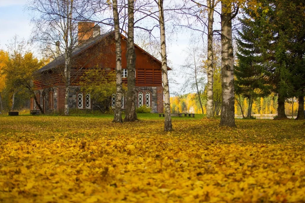 Casa nel bosco autunno