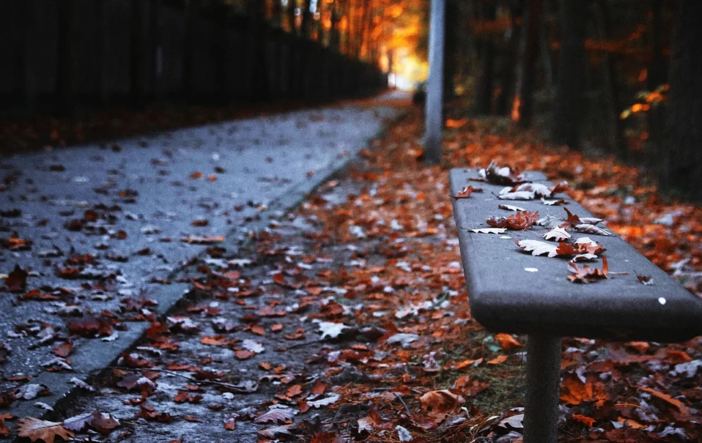 Panchina viale autunno