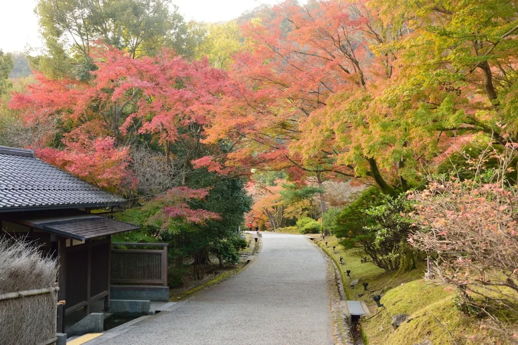 Villaggio in Giappone autunno alberi colori autunno