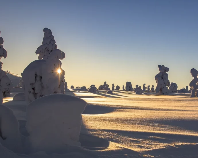 Immagini di paesaggi con la neve spettacolari