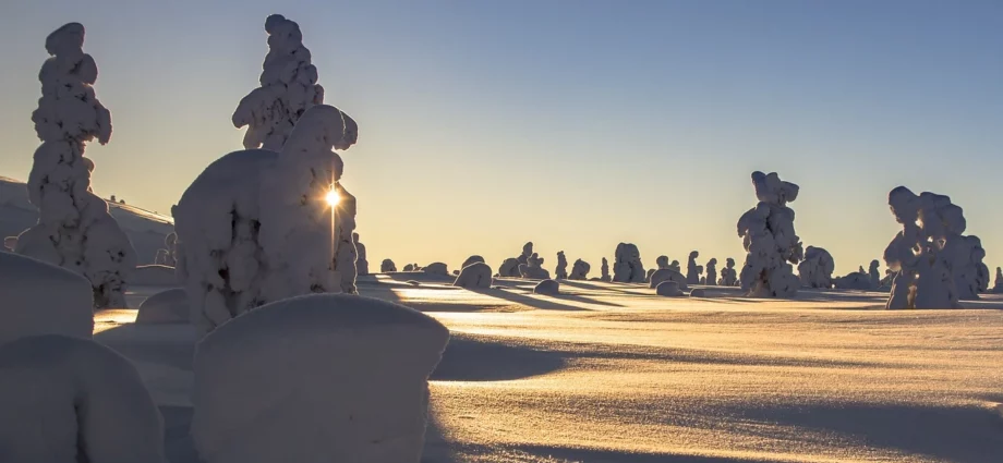 Immagini di paesaggi con la neve spettacolari