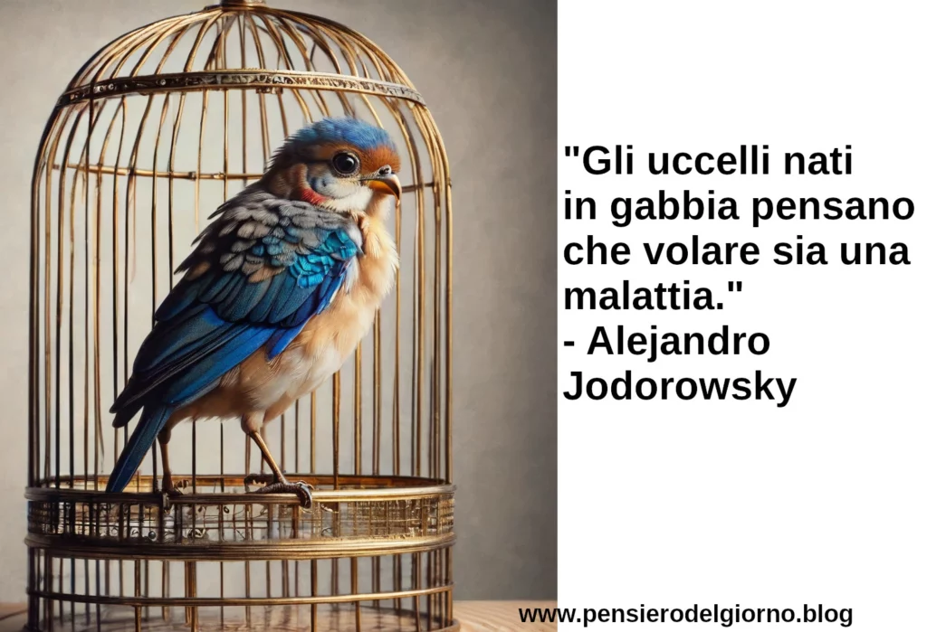 Citazione Gli uccelli nati in gabbia pensano che volare sia una malattia Jodorowsky