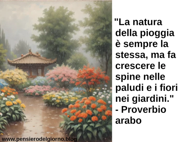 Frase di oggi La natura della pioggia è sempre la stessa, ma fa crescere le spine nelle paludi e i fiori nei giardini. Proverbio arabo