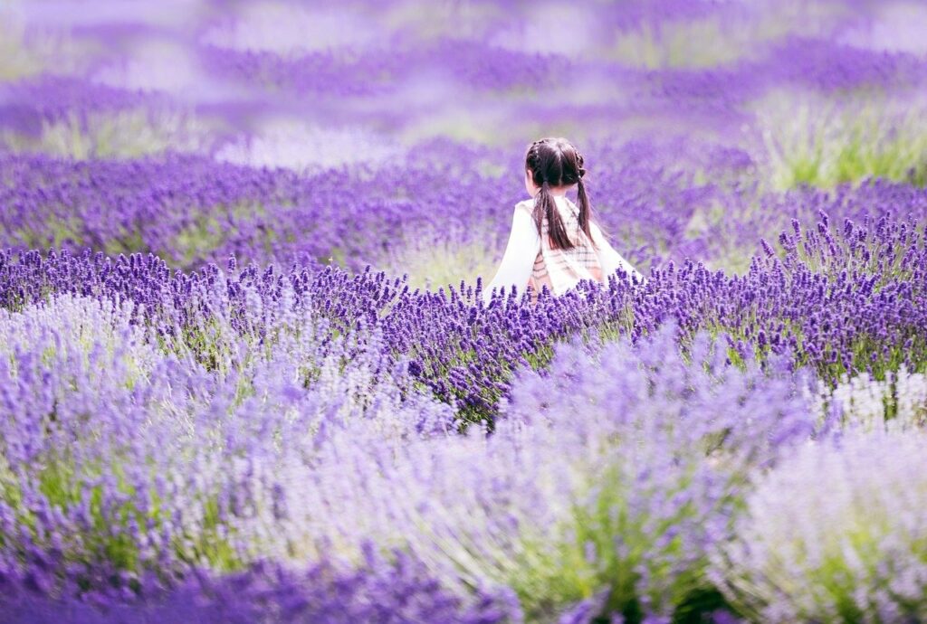 Ragazza nel campo di lavanda