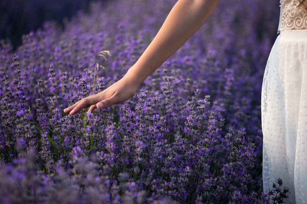 Ragazza che sfiora fiori di lavanda