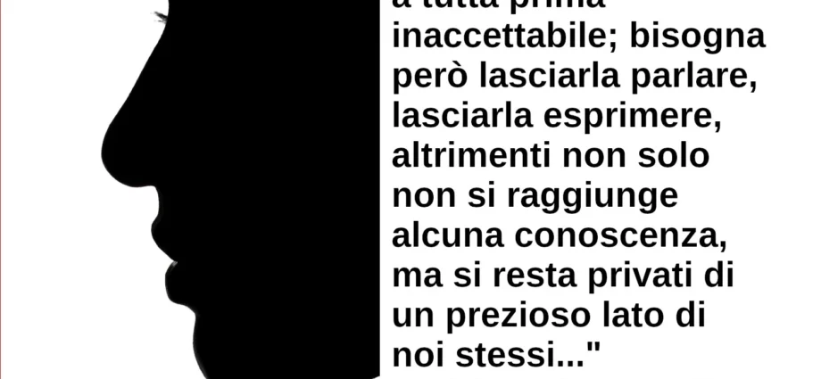 Affrontare Ombra archetipo Jung L'Ombra bisogna però lasciarla parlare esprimere Adriana Mazzarella