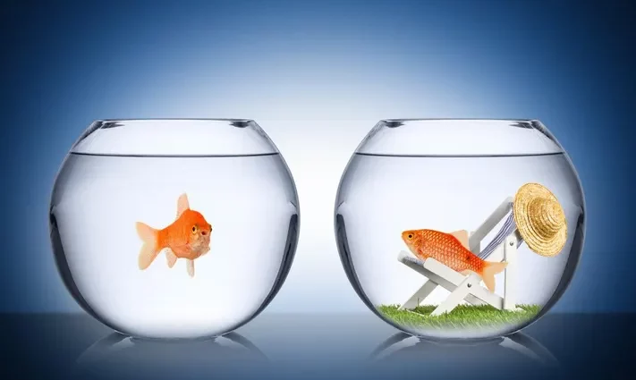 Perché si è invidiosi scienza e psicologia