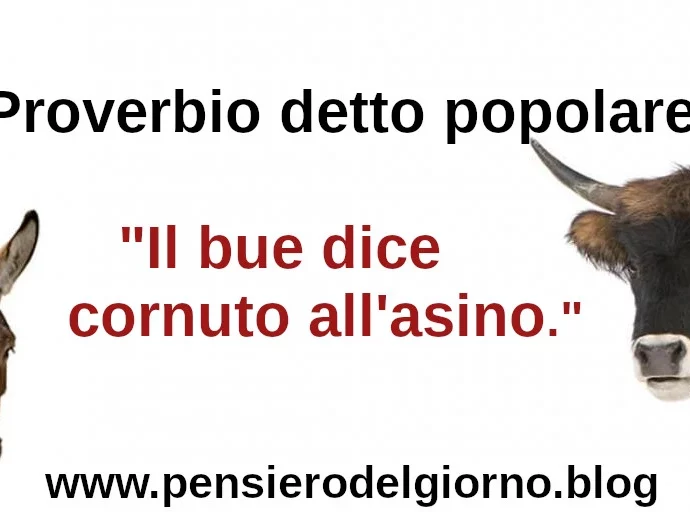 Proverbio detto popolare Il bue dice cornuto all'asino