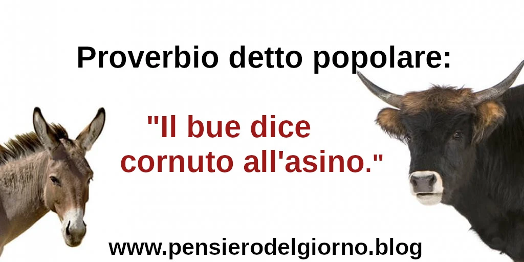 Proverbio detto popolare Il bue dice cornuto all'asino