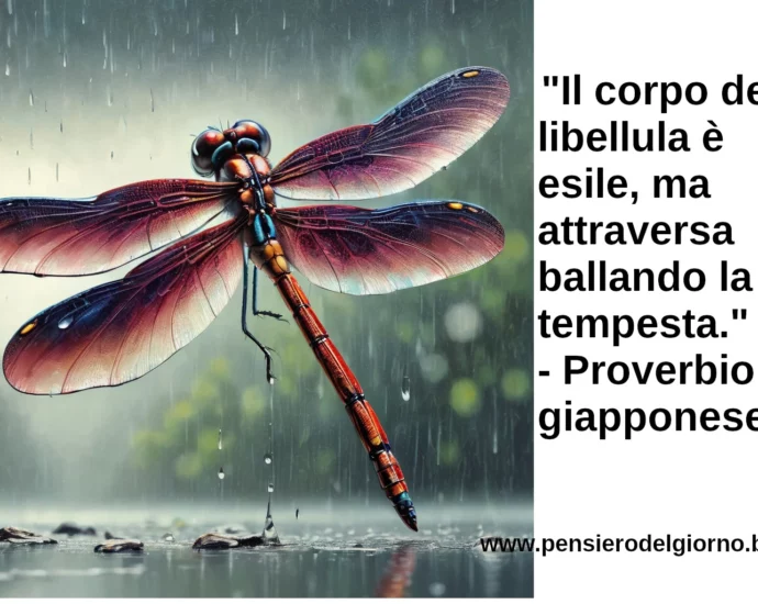 Il corpo della libellula è esile, ma attraversa ballando la tempesta. Proverbio giapponese