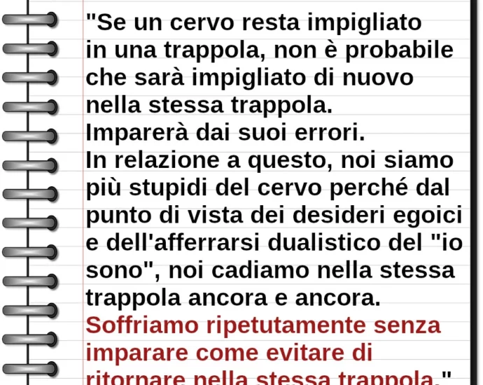 Soffriamo ripetutamente senza imparare come evitare di ritornare nella stessa trappola. Gyatrul Rinpoche