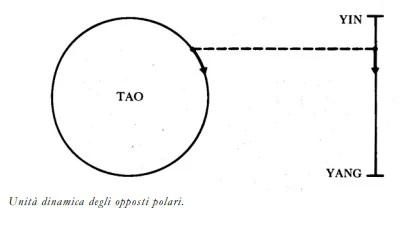 Unità dinamica opposti polari Il Tao della Fisica