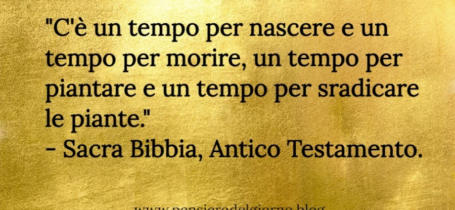 Frase di oggi C'è un tempo per nascere e un tempo per morire, un tempo per piantare Sacra Bibbia
