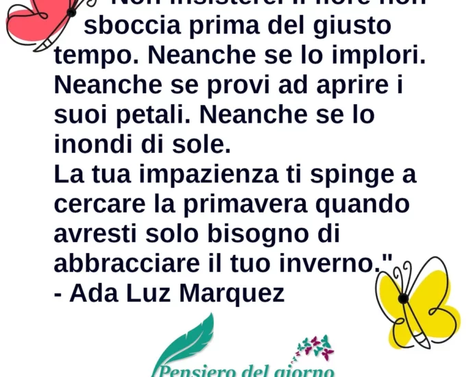 Frase di oggi Non insistere. Il fiore non sboccia prima del giusto tempo Ada Luz Marquez