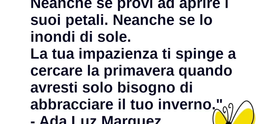 Frase di oggi Non insistere. Il fiore non sboccia prima del giusto tempo Ada Luz Marquez