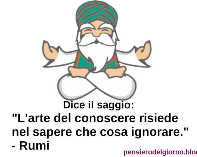 Dice il saggio L'arte del conoscere è nel sapere cosa ignorare Rumi