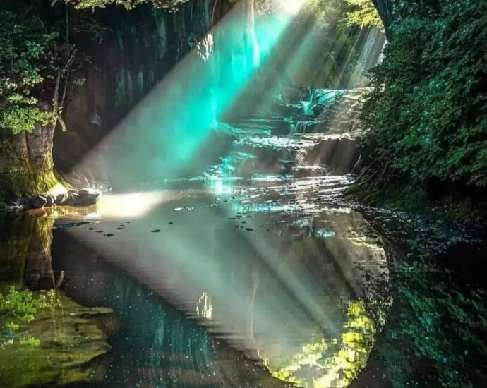 Jessica Anderson Amazon Rainforest Codajas