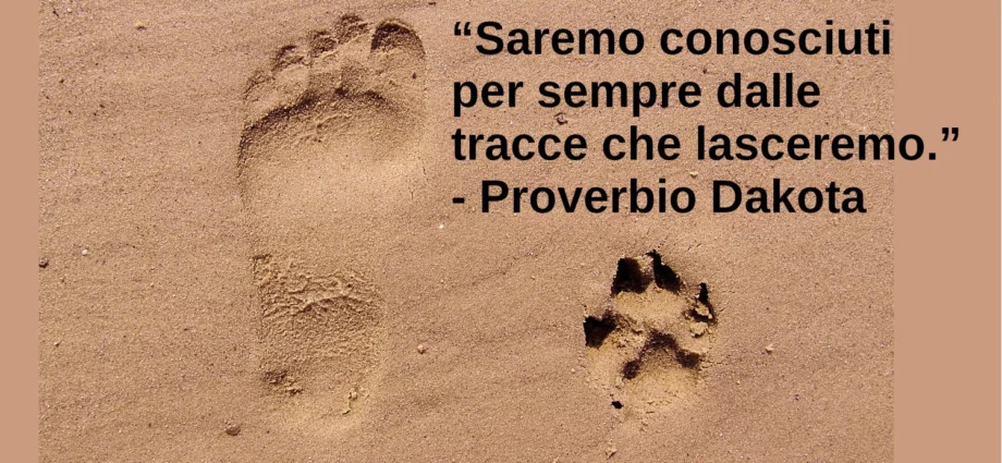 Proverbio: Saremo conosciuti per sempre dalle tracce che lasceremo.